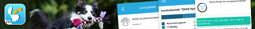 bhv