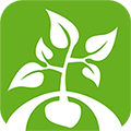 Die Kartoffel App icon