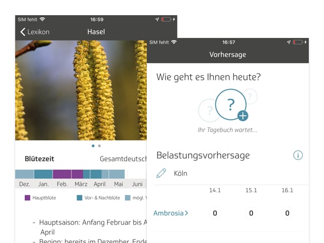 Hasel und Vorhersage Screens der umgesetzten TK Allergie-App Husteblume